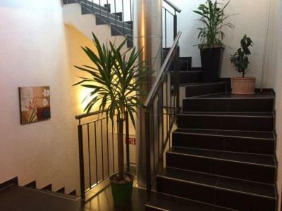 Hotel Restaurant Loewen Sirnach Екстер'єр фото